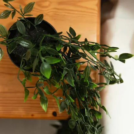 Apart-hotel Calypso Kávos