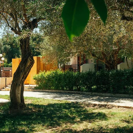 Calypso 3*