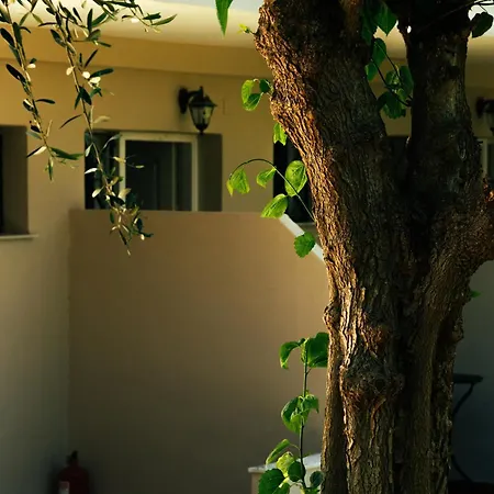 Calypso 3* Кавос