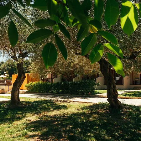 Calypso 3* Кавос