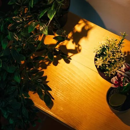 Апарт-отель Calypso Кавос