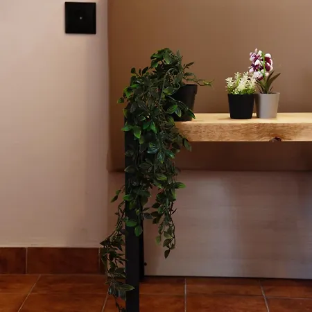 Aparthotel Calypso *