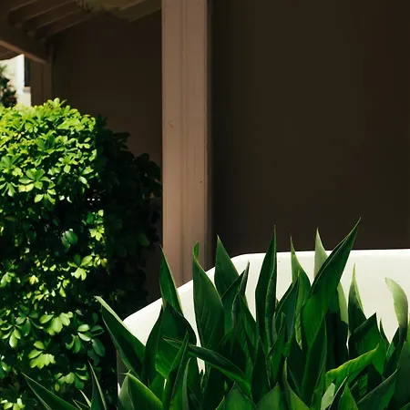 Calypso Hotel de apartamente Kávos