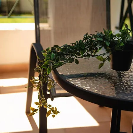 Calypso Apart Otel Kávos