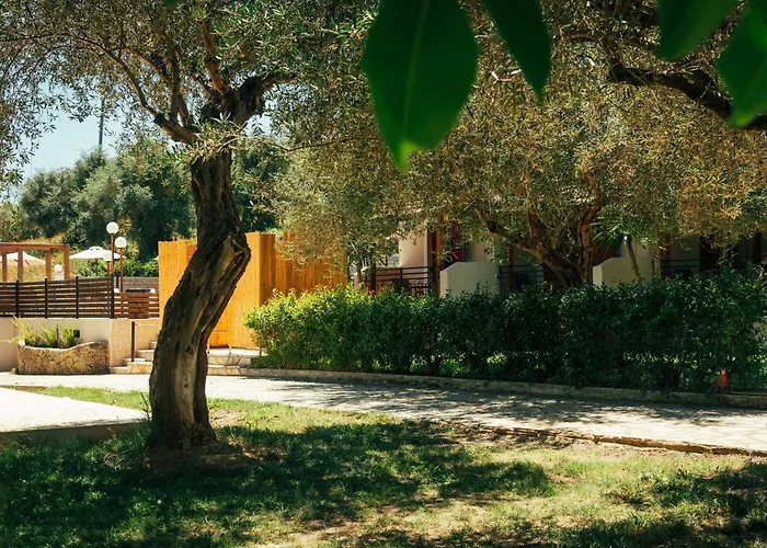 Calypso 3*